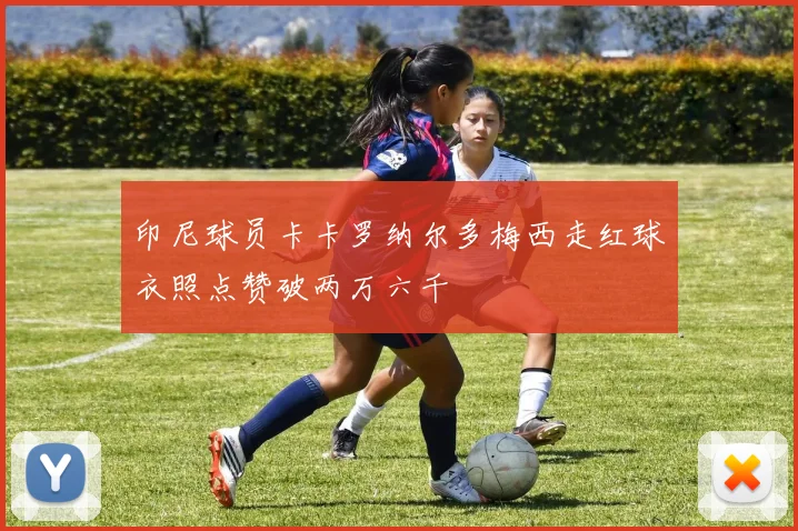 印尼球员卡卡罗纳尔多梅西走红球衣照点赞破两万六千