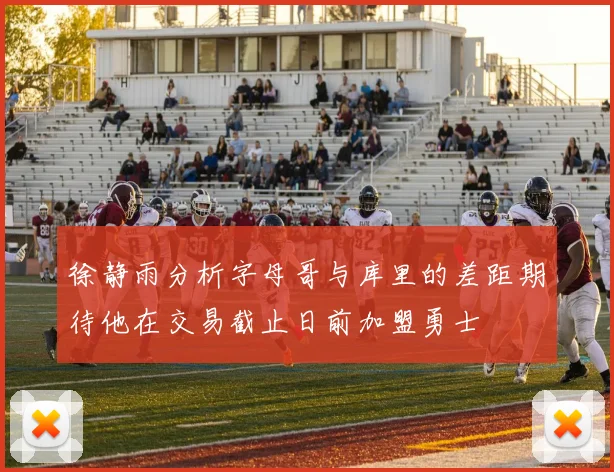 徐静雨分析字母哥与库里的差距期待他在交易截止日前加盟勇士