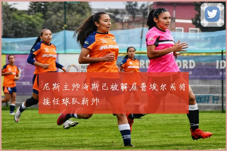 尼斯主帅海斯已被解雇普埃尔或将接任球队新帅