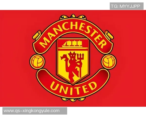 曼联夏窗曾追巴莱巴现安德森成首选目标